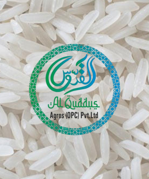 PR 14 RAW RICE PR 14 RAW RICE