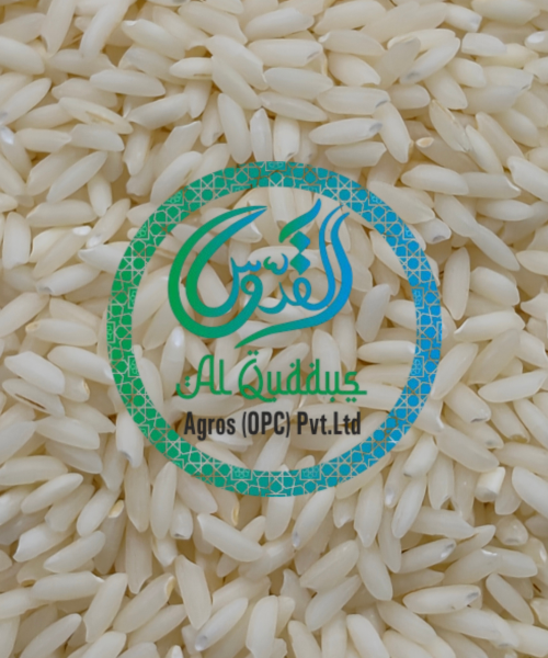 SONA MASOOR RAW RICE SONA MASOOR RAW RICE