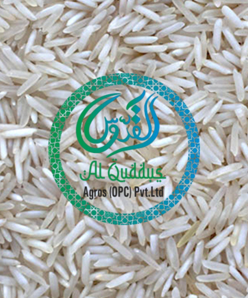 SUGANDHA PESTICIDE FREE STEAM RICE SUGANDHA PESTICIDE FREE STEAM RICE